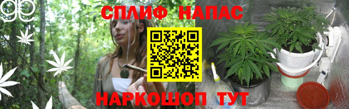 Конопля планчик  Каннабис семена  Вход с VPN  Конопля THC 21%  Камень-на-Оби 